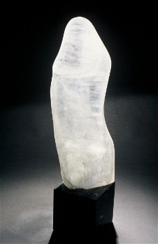 Translucent Torso